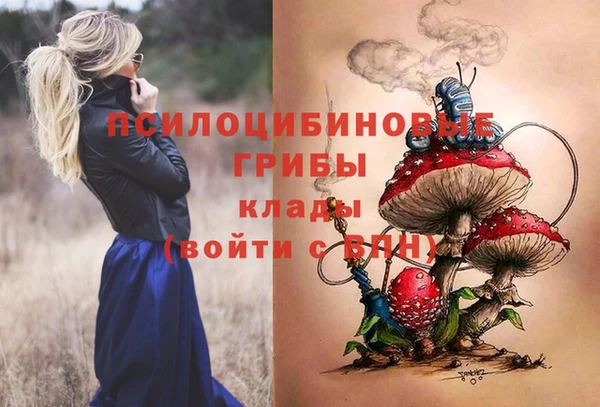 mdpv Алзамай