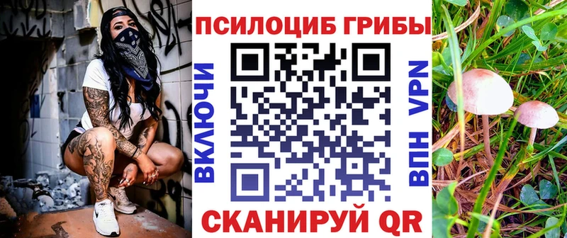 даркнет сайт  Саянск  Псилоцибиновые грибы ЛСД 