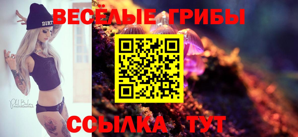 Саянск  Галлюциногенные грибы Cubensis  где можно купить наркотик  Вход с VPN 